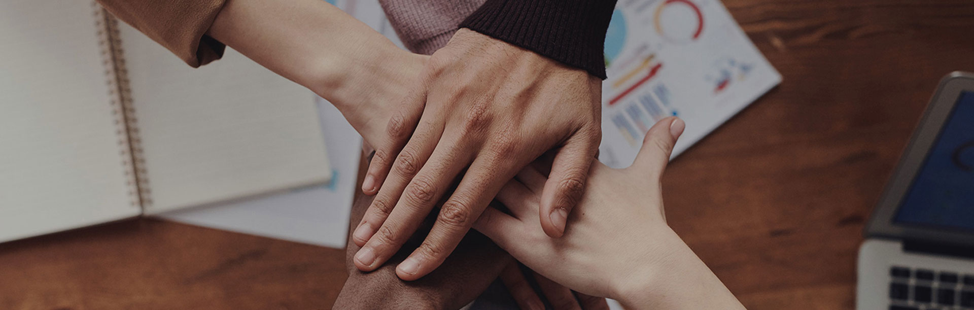 �Żݻ��������_��ҳ