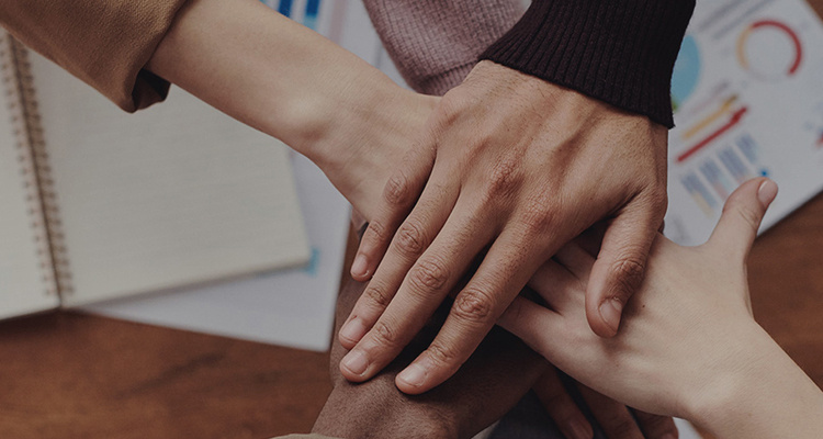 �Żݻ��������_��ҳ